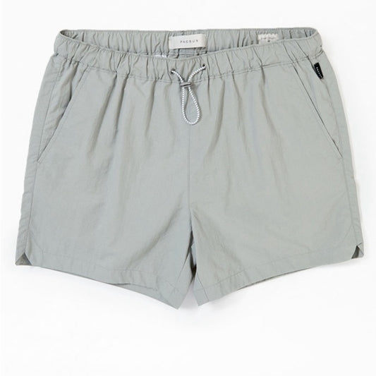 Pacsun Men’s shorts size large